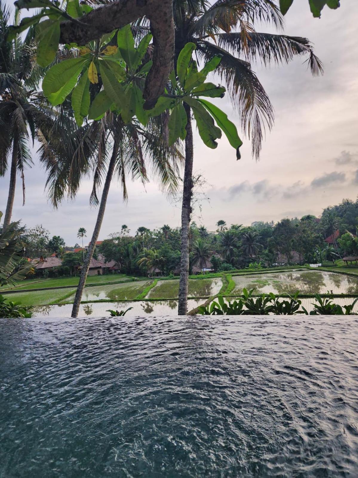 Motama Villa Ubud  Luaran gambar
