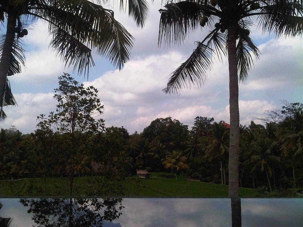 Motama Villa Ubud  Luaran gambar