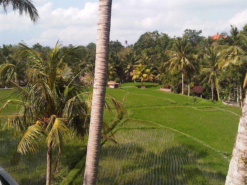 Motama Villa Ubud  Luaran gambar